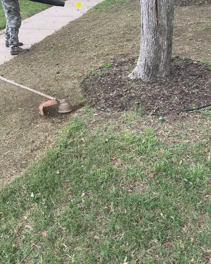 Crew member edging a lawn around a tree