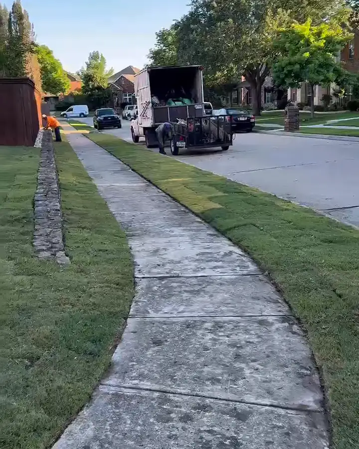 Green lawn along a curved front walkway