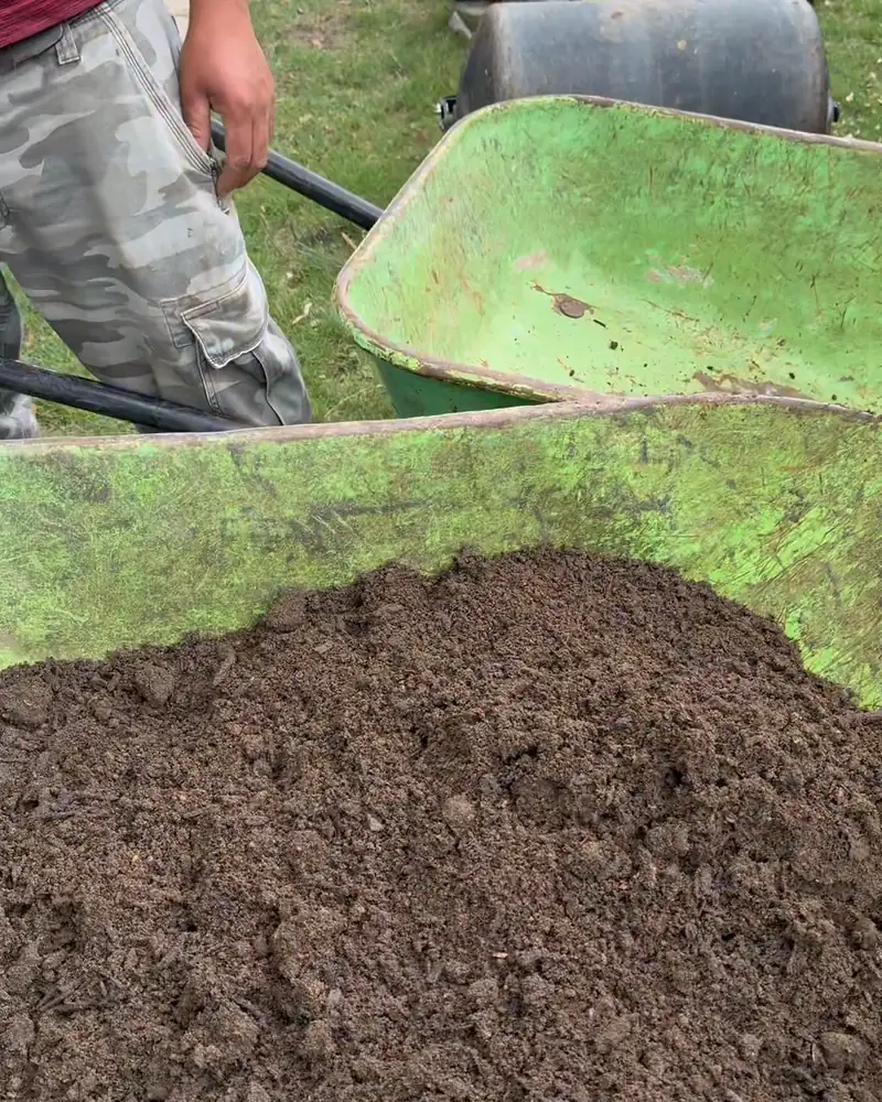 Wheelbarrow loaded with fresh soil
